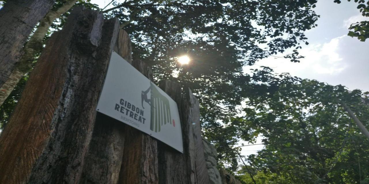 فندق Gibbon Retreat بينتونغ المظهر الخارجي الصورة