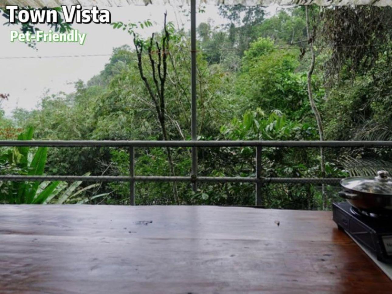فندق Gibbon Retreat بينتونغ المظهر الخارجي الصورة