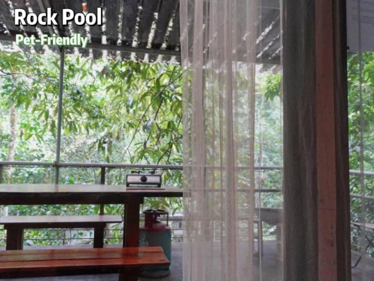 فندق Gibbon Retreat بينتونغ المظهر الخارجي الصورة