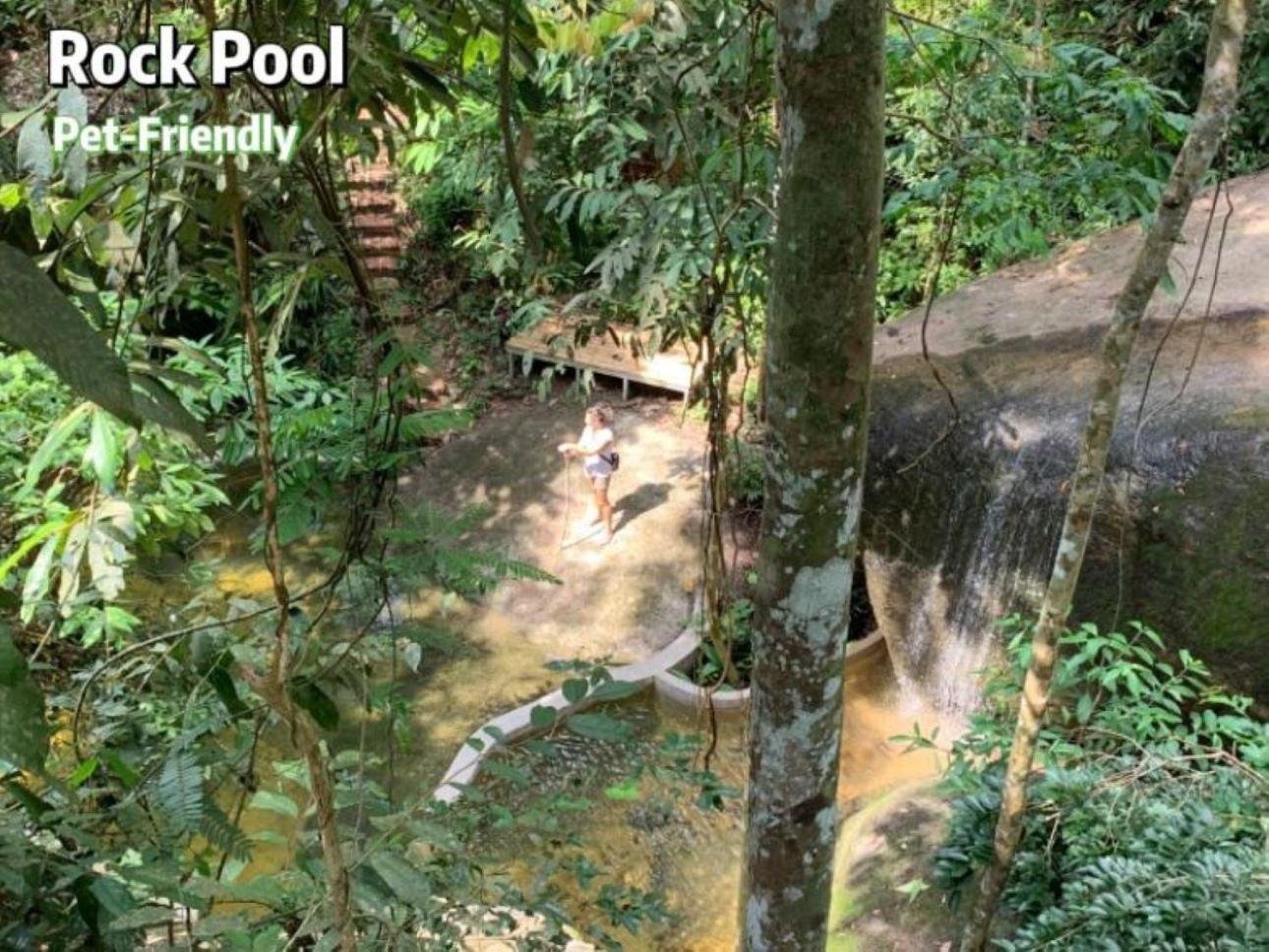 فندق Gibbon Retreat بينتونغ المظهر الخارجي الصورة