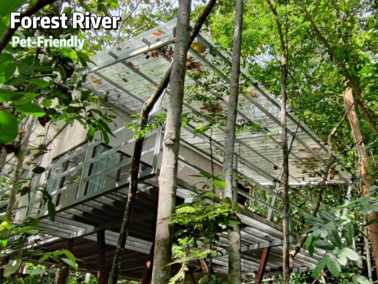 فندق Gibbon Retreat بينتونغ المظهر الخارجي الصورة